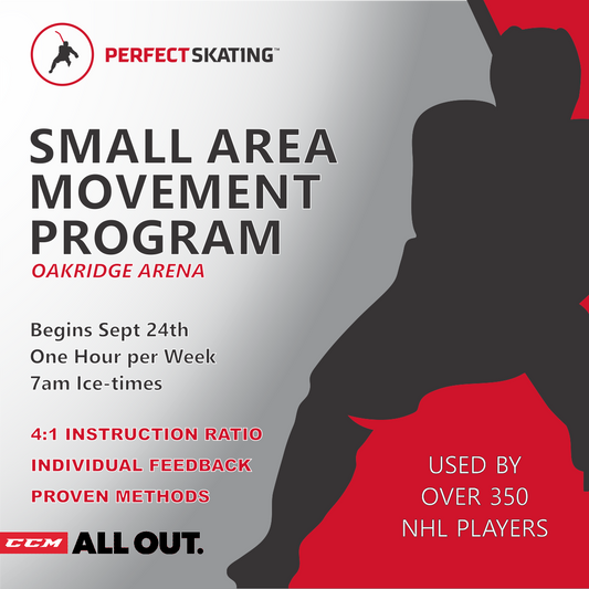 Small Area Movement - Fall 2025
