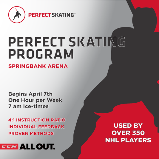 Perfect Skating - Spring 2025