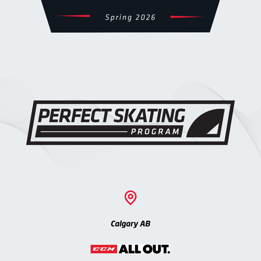 Perfect Skating - Spring 2026