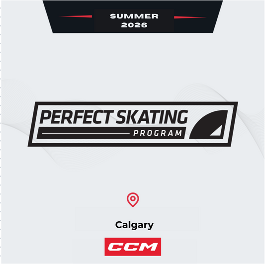 Perfect Skating - Summer 2026